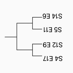 4F67-6G05-8J33-1E44