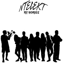 NTELEKT - My Homies