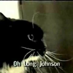 Talking Cat Saying Oh Long Johnson 