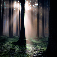 Feel Like ?????? (Symels)