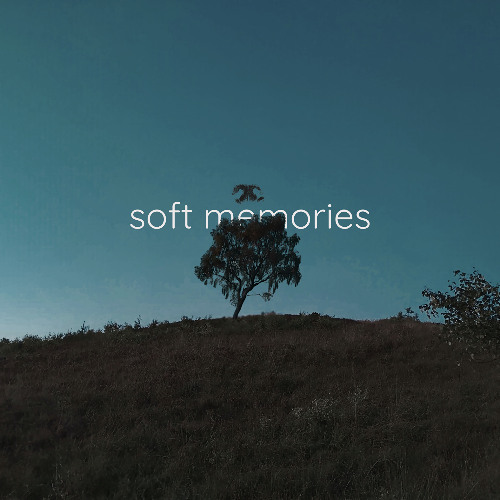 choosing sleep - soft memories