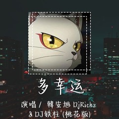 韓安旭 - 多幸运 DjRichz & DJ铁柱 (桃花版) 「我相信,你就是那唯一」【動態歌詞/pīn yīn gē cí】