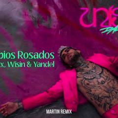 LABIOS ROSADOS REMIX- DALEX FT WISIN & YANDEL & MARTIN REMIX