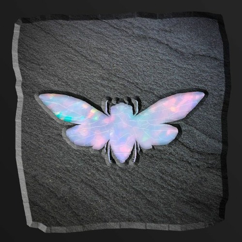 METAMORPHOSIS
