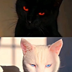 Just Your Doll edit audio