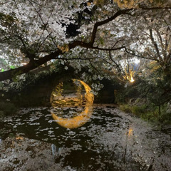 Blessed (prod.bapop)