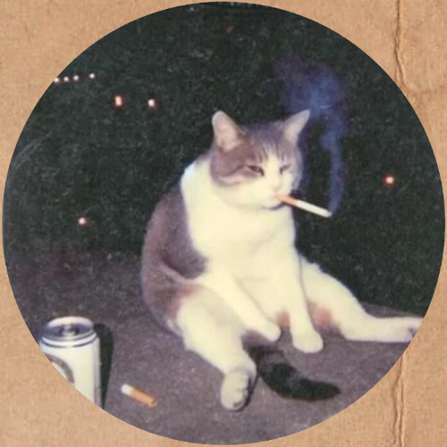 Let's Jack (R.P.R. Edit)