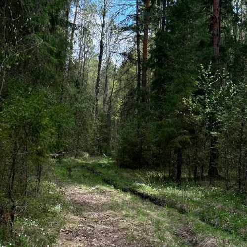 oh sh** here we g0 again