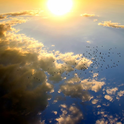 سوف ترى أعظم من هذا