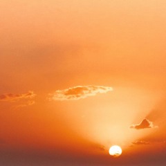 AVM | 182 - BBQ Radio #036 With Any van Mous "Closing Sunset" - Live from w8@BackToTheLake 2021