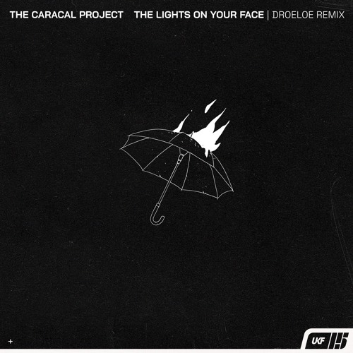 The Caracal Project - The lights on your face. (DROELOE Remix)