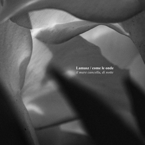 previews. Lamasz, come le onde - il mare cancella, di notte | ROHS!