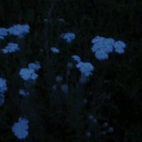 не страшно+awari