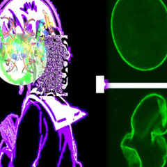 Dvstrr - Failure 2K20