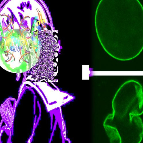 Dvstrr - Failure 2K20