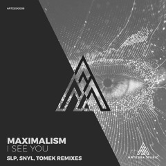 Maximalism - The House (Tomek Remix) [Artessa Music]