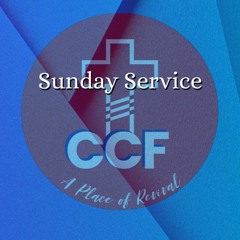 Year of Correction - Bob Kotlarz