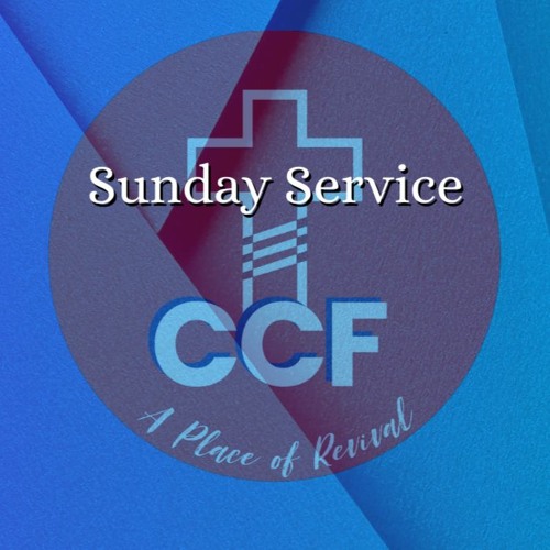 Year of Correction - Bob Kotlarz