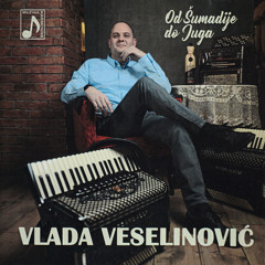Pozdrav s juga (Vlada Veselinović)