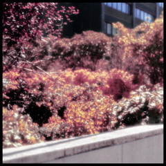 Kirsikka (feat. Tomi Nikku & Katilyne Roels)