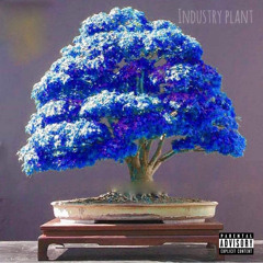 Industry Plant