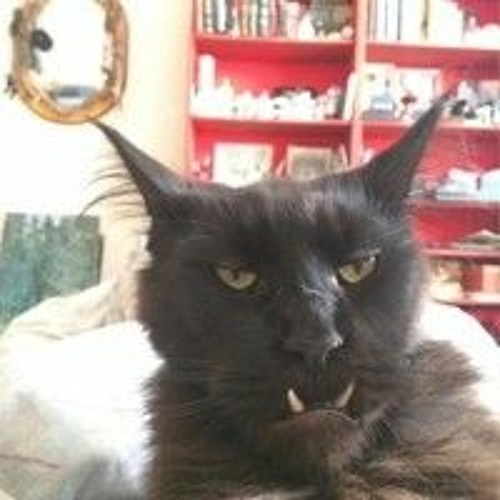 Скрябін - ГМО