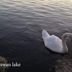 Swan Lake - 03.08.19