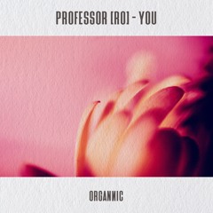 Professor (RO) - You