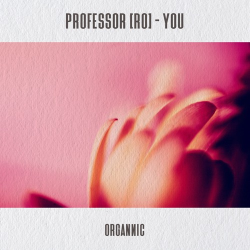 Professor (RO) - You