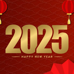 NHƯ Ý CÁT TƯỜNG CHICKS x ZIK