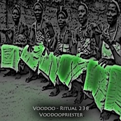 Voodoopriester -- Voodoo - Ritual 238 @ Fnoob - Techno Radio