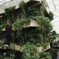 02 URBANJUNGLE