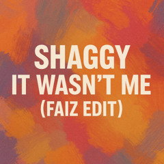 Shaggy - It Wasn't Me ( FAIZ EDIT )