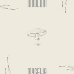 N3510 - Mycelia