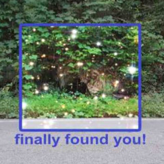 nice2u