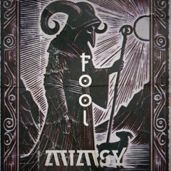 Fool