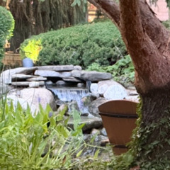 Clams Casino - I'm God (sax cover) by ridgeclub on youtube