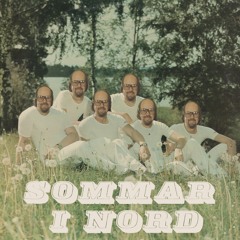 SOMMAR I NORD