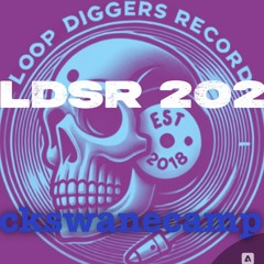 LDSR 202 - ckswanecamp