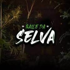 ===SETZIN MIXADO - RITMO DO BAILE DA SELVA ((( DJ VN DA PENHA))