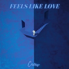 Cnow - Feels Like Love