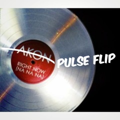 Akon - Right Na Na Na (Pulse Flip)
