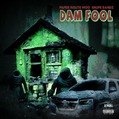 PaperRoute Woo & Snupe Bandz - Dam Fool