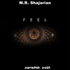 M.R. Shajarian & Seventh Soul - Feel