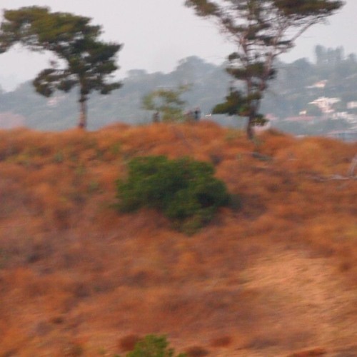 admiring you from a distance (prod. samashi)