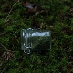 Inner Therapie [live hardware]