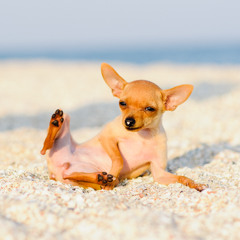Sun Bath