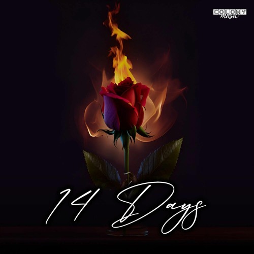 14 Days (ALEX G OUTRO)