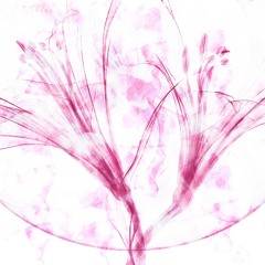 valentine21 (jeremyy)
