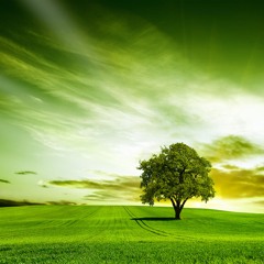 Developing the Compassionate Self